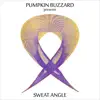 Pumpkin Buzzard - Sweat Angle